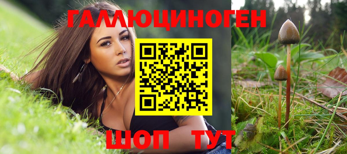 Краснокаменск  даркнет сайт  Вход с VPN  Галлюциногенные грибы Psilocybine cubensis 